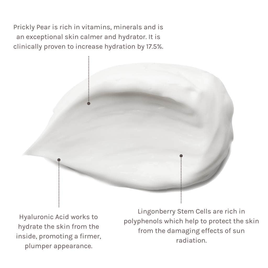 swatch of evolve organic skincare spf 30 face cream with ingredient info about prickly pear, hyaluronic acid and lingonberry stem cells